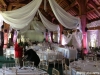 East Riddlesden Hall - Wedding