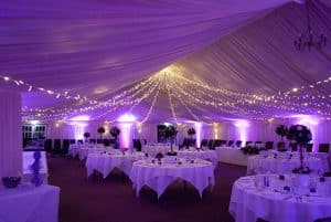 Fairy Light Canopy